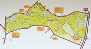 Карта Ботанического парка в Сингапуре (Botanic Garden Singapore)