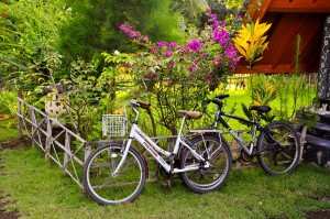 Велосипеды - популярный транспорт на Гили.