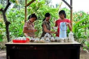 Дегустируем кофе лювак на плантациях для туристов