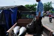 Улов на рыбном рынке Джимбарана