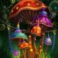 Галлюциногенные грибы, Magic mushroom по Балийски